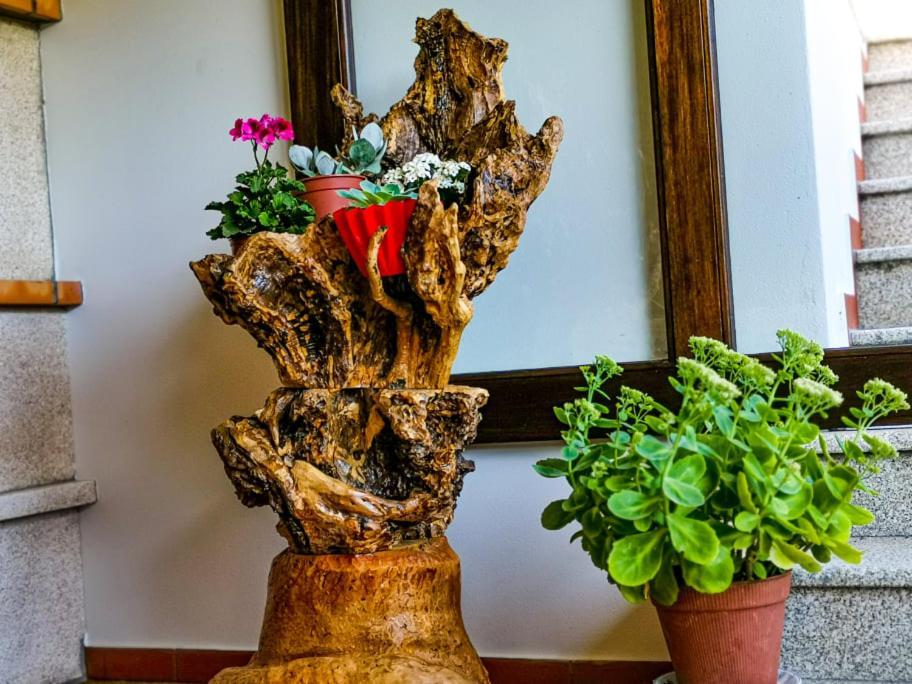 Casa Carolina Vendégház Vila Seca  Kültér fotó