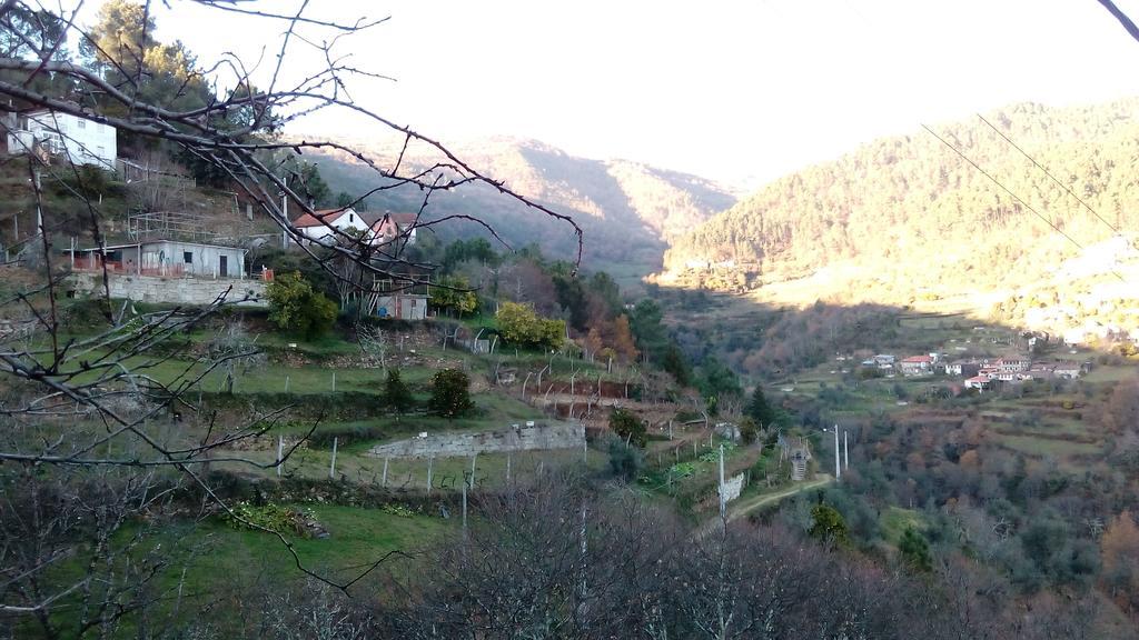 Casa Carolina Vendégház Vila Seca  Kültér fotó